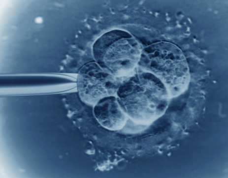 三代试管囊胚移植成功率有高？多胎妊娠一定要减胎吗？