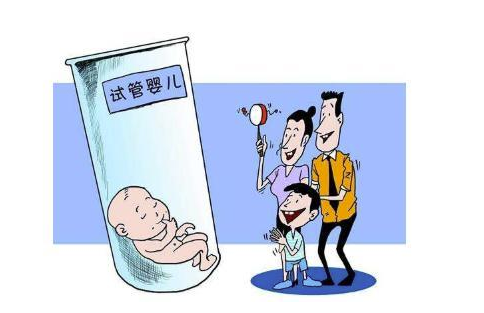 人工授精和试管婴儿哪个成功率更高
