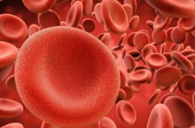 红细胞偏低有什么危害?影响试管吗?