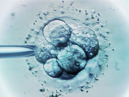 在西宁做试管，移植冻胚失败后要隔几个月再次移植有较高成功率？