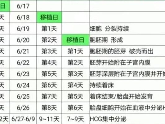 胚胎几天可以成功着床？看完这张时间表你就安心了