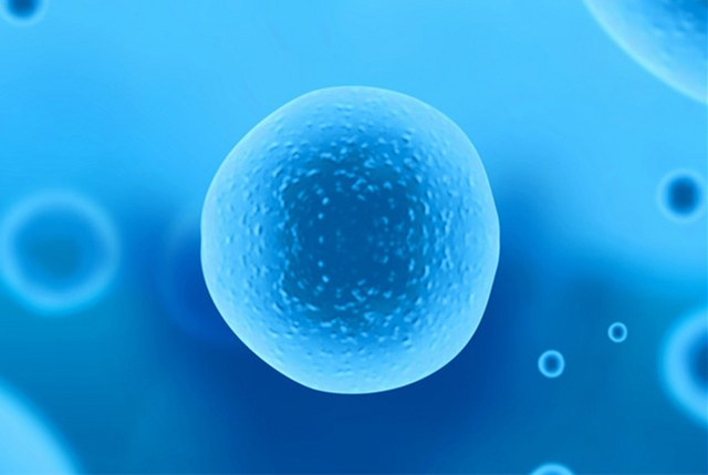 染色体筛查 染色体筛查