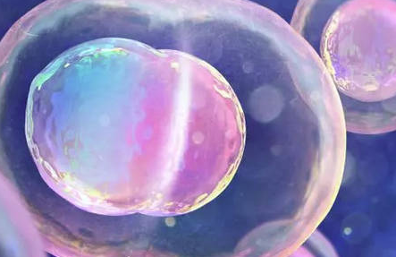 移植冻胚有几种方案