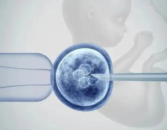 卵巢功能差影响卵子质量