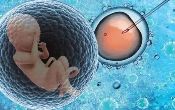 二代试管胚胎移植费用大概1万5-2万元左右