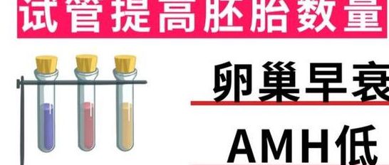 amh值0.53试管成功率有多大？34岁小周两次卵母细胞采集后等来胎心