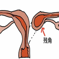 为备孕人士特别盘点的五款助孕汤