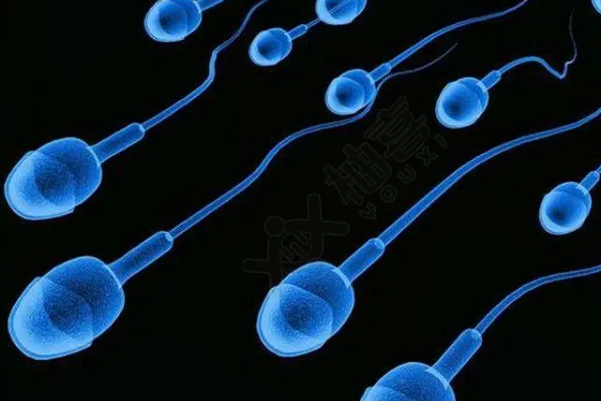 服用硒酵母片可改善精子畸形