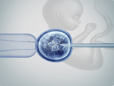 胚胎有问题可影响发育