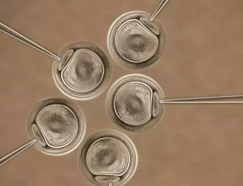 自然周期冻胚移植前的准备不能少！这3项检查是冻胚重中之重