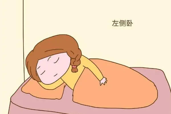 孕妇怀孕期间可采取左侧位的睡姿