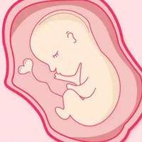 B超孕囊怎么看男女，科学解读与民间方法的辨析