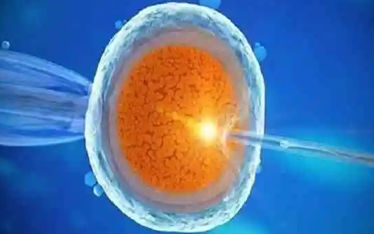 人工受精是较受欢迎的辅助生殖技术
