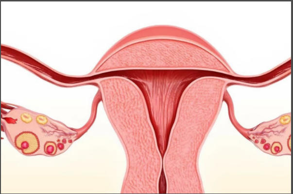 乐宫宝治疗内膜薄效果因人而异