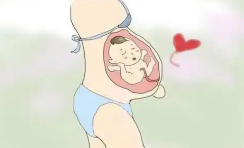 备孕在春夏季比较好