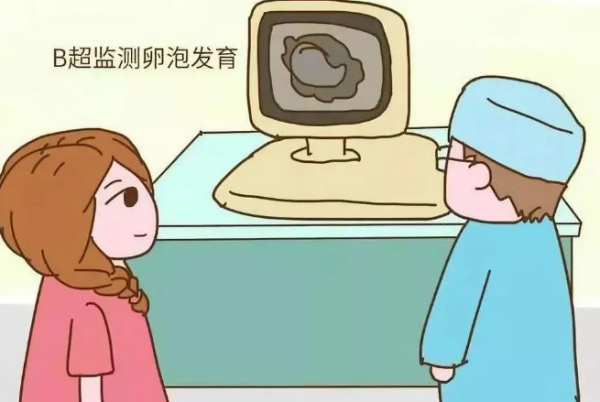移植囊胚是否需要日日监测排卵