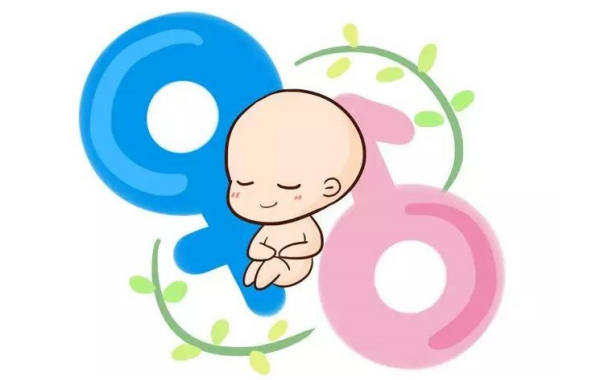 单绒双羊男孩多还是女孩多