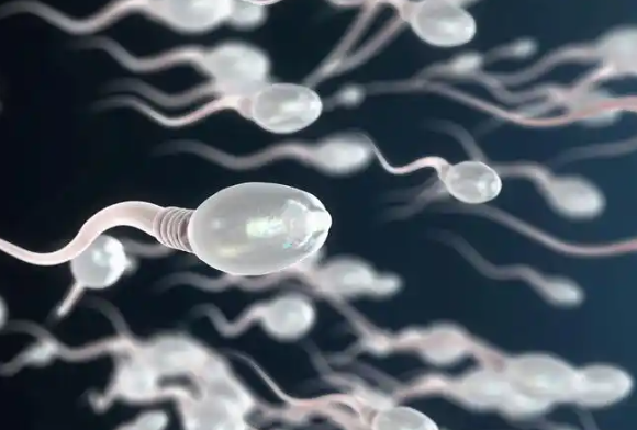 精子不液化会影响生育