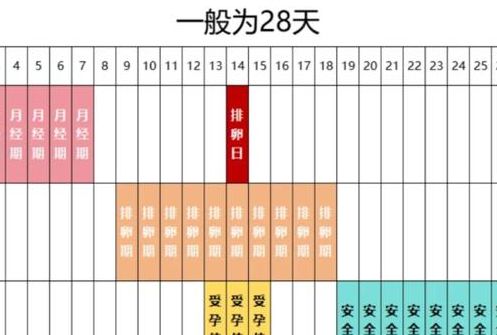 移植生化了多久可以同房？别急，先等这次月经干净再考虑