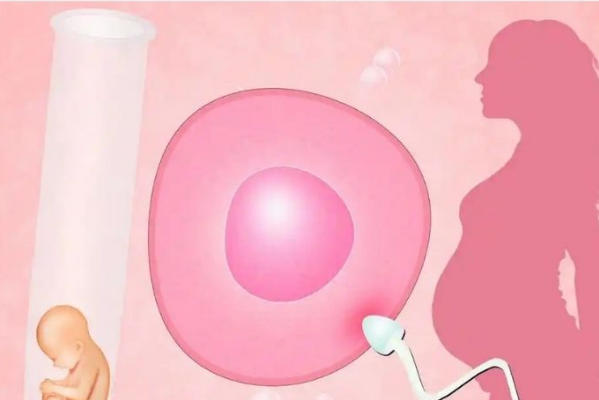 试管婴儿可能会导致女性卵巢早衰