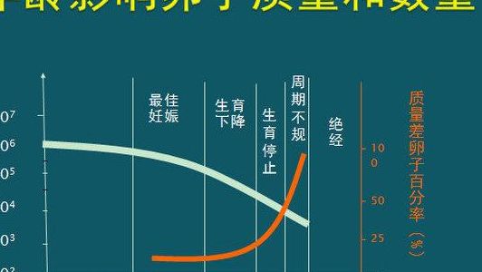 泰国哪里有做试管婴儿？选对医院前先看这三步