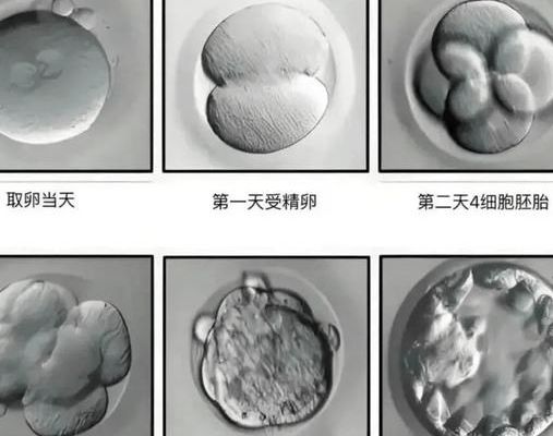 高龄试管哪家成功率较高，5个判断维度帮你筛出来