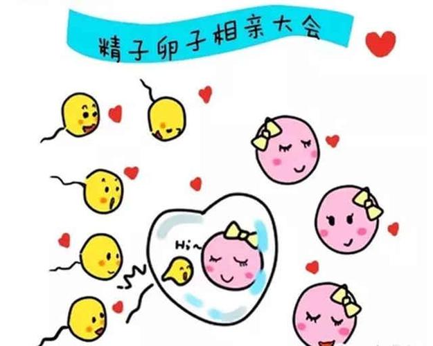 南京哪里可以做第三代试管婴儿？这4家公立医院有正规资质，别跑错了