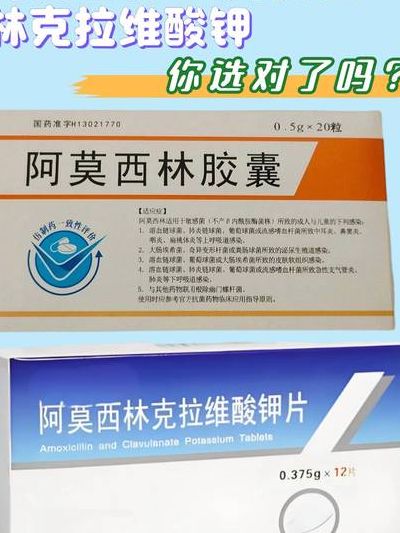 备孕可以吃阿莫西林吗？可以，但先确认这3件事