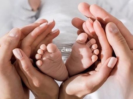美国和格鲁吉亚试管婴儿：5个判断维度帮你少走弯路