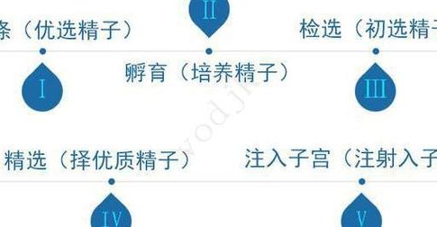 女染色体异常能试管吗会遗传吗?2026三代试管政策新颖解读