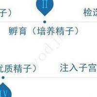 女染色体异常能试管吗会遗传吗？2026三代试管政策新颖解读