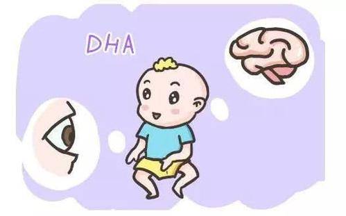 婴儿需要补充dha吗   三个月大的婴儿需要补充dha吗