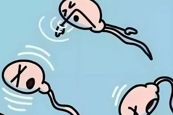 精子碎片25可以调下来