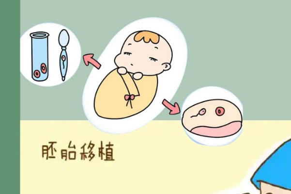 囊胚移植后着床的时间不是固定的