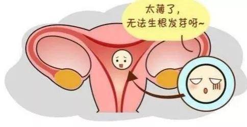 子宫内膜的厚度会直接影响体外受精移植的成功