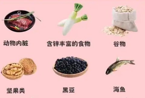 备孕期间要注意饮食规律