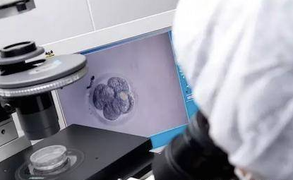 冻囊胚一般在月经第几天移植
