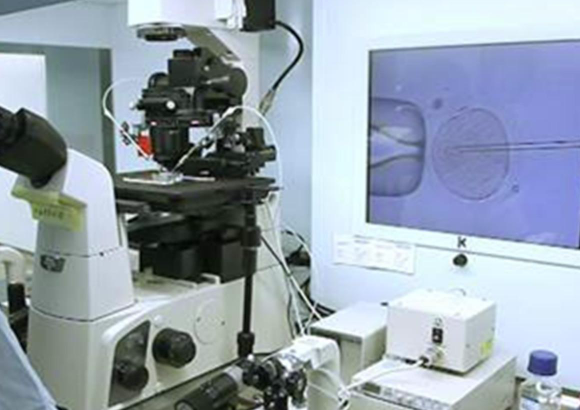 试管的胚胎实验室