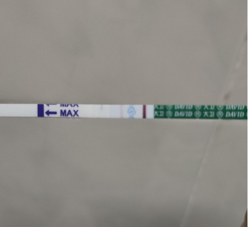 早孕试纸结果要等待15分钟