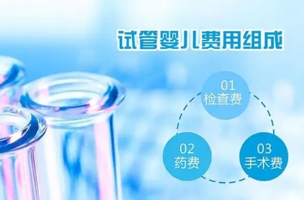 泰国泰悦试管婴儿费用