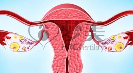 试管对女性身体的影响：4个判断维度帮你少受罪
