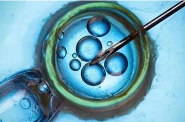 单精子注射的胚胎质量