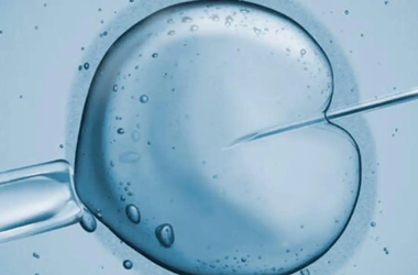 试管时植入优质胚胎成功几率?