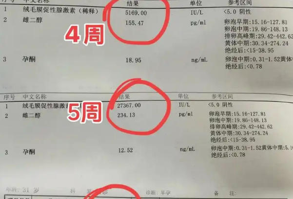 试管移植后hcg值六千可能是正常的