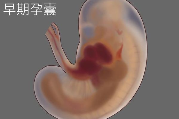 胎停后做试管成功率高吗？关键看这三点，别急着进周