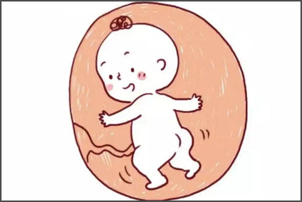 怀孕时间与胎儿性别没有直接关联