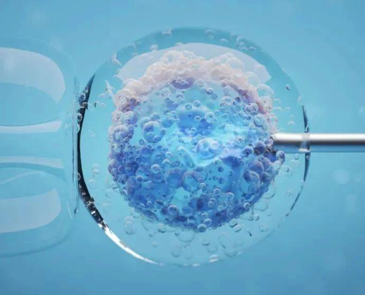 二级胚胎成功率和心理有关