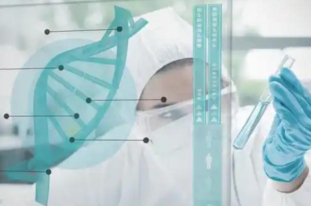 美国试管婴儿技术成功率比较高