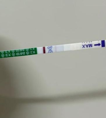 促排同房后10天可以测出怀孕吗？血检可能，尿检偏早