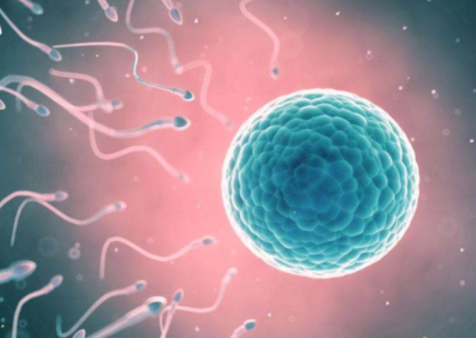 目前国内单身不允许做试管